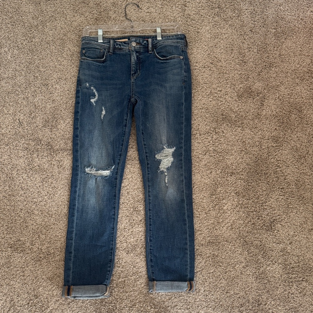 Pilcro Women’s Slim Boyfriend Crop